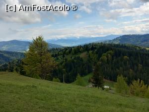 [P26] Vedere din Bucovina » foto by Marius 72
 - 
<span class="allrVoted glyphicon glyphicon-heart hidden" id="av1494973"></span>
<a class="m-l-10 hidden" id="sv1494973" onclick="voting_Foto_DelVot(,1494973,4091)" role="button">șterge vot <span class="glyphicon glyphicon-remove"></span></a>
<a id="v91494973" class=" c-red"  onclick="voting_Foto_SetVot(1494973)" role="button"><span class="glyphicon glyphicon-heart-empty"></span> <b>LIKE</b> = Votează poza</a> <img class="hidden"  id="f1494973W9" src="/imagini/loader.gif" border="0" /><span class="AjErrMes hidden" id="e1494973ErM"></span>