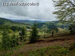 [P34] Bucovina la pas » foto by Marius 72
 - 
<span class="allrVoted glyphicon glyphicon-heart hidden" id="av1494981"></span>
<a class="m-l-10 hidden" id="sv1494981" onclick="voting_Foto_DelVot(,1494981,4091)" role="button">șterge vot <span class="glyphicon glyphicon-remove"></span></a>
<a id="v91494981" class=" c-red"  onclick="voting_Foto_SetVot(1494981)" role="button"><span class="glyphicon glyphicon-heart-empty"></span> <b>LIKE</b> = Votează poza</a> <img class="hidden"  id="f1494981W9" src="/imagini/loader.gif" border="0" /><span class="AjErrMes hidden" id="e1494981ErM"></span>