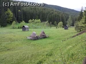 [P36]  -- <small>// FĂRĂ DESCRIERE</small> » foto by Marius 72
 - 
<span class="allrVoted glyphicon glyphicon-heart hidden" id="av1495814"></span>
<a class="m-l-10 hidden" id="sv1495814" onclick="voting_Foto_DelVot(,1495814,4091)" role="button">șterge vot <span class="glyphicon glyphicon-remove"></span></a>
<a id="v91495814" class=" c-red"  onclick="voting_Foto_SetVot(1495814)" role="button"><span class="glyphicon glyphicon-heart-empty"></span> <b>LIKE</b> = Votează poza</a> <img class="hidden"  id="f1495814W9" src="/imagini/loader.gif" border="0" /><span class="AjErrMes hidden" id="e1495814ErM"></span>