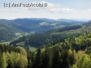 [P41]  -- <small>// FĂRĂ DESCRIERE</small> » foto by Marius 72
 - 
<span class="allrVoted glyphicon glyphicon-heart hidden" id="av1495819"></span>
<a class="m-l-10 hidden" id="sv1495819" onclick="voting_Foto_DelVot(,1495819,4091)" role="button">șterge vot <span class="glyphicon glyphicon-remove"></span></a>
<a id="v91495819" class=" c-red"  onclick="voting_Foto_SetVot(1495819)" role="button"><span class="glyphicon glyphicon-heart-empty"></span> <b>LIKE</b> = Votează poza</a> <img class="hidden"  id="f1495819W9" src="/imagini/loader.gif" border="0" /><span class="AjErrMes hidden" id="e1495819ErM"></span>