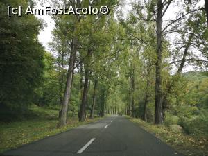 [P26] Pe Valea Doftanei » foto by crismis
 - 
<span class="allrVoted glyphicon glyphicon-heart hidden" id="av1213368"></span>
<a class="m-l-10 hidden" id="sv1213368" onclick="voting_Foto_DelVot(,1213368,4099)" role="button">șterge vot <span class="glyphicon glyphicon-remove"></span></a>
<a id="v91213368" class=" c-red"  onclick="voting_Foto_SetVot(1213368)" role="button"><span class="glyphicon glyphicon-heart-empty"></span> <b>LIKE</b> = Votează poza</a> <img class="hidden"  id="f1213368W9" src="/imagini/loader.gif" border="0" /><span class="AjErrMes hidden" id="e1213368ErM"></span>