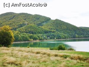 [P33] Lacul Paltinu - la popas » foto by crismis
 - 
<span class="allrVoted glyphicon glyphicon-heart hidden" id="av1213375"></span>
<a class="m-l-10 hidden" id="sv1213375" onclick="voting_Foto_DelVot(,1213375,4099)" role="button">șterge vot <span class="glyphicon glyphicon-remove"></span></a>
<a id="v91213375" class=" c-red"  onclick="voting_Foto_SetVot(1213375)" role="button"><span class="glyphicon glyphicon-heart-empty"></span> <b>LIKE</b> = Votează poza</a> <img class="hidden"  id="f1213375W9" src="/imagini/loader.gif" border="0" /><span class="AjErrMes hidden" id="e1213375ErM"></span>