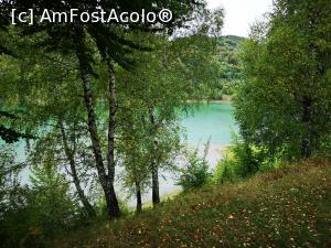 [P34] Lacul Paltinu - la popas » foto by crismis
 - 
<span class="allrVoted glyphicon glyphicon-heart hidden" id="av1213376"></span>
<a class="m-l-10 hidden" id="sv1213376" onclick="voting_Foto_DelVot(,1213376,4099)" role="button">șterge vot <span class="glyphicon glyphicon-remove"></span></a>
<a id="v91213376" class=" c-red"  onclick="voting_Foto_SetVot(1213376)" role="button"><span class="glyphicon glyphicon-heart-empty"></span> <b>LIKE</b> = Votează poza</a> <img class="hidden"  id="f1213376W9" src="/imagini/loader.gif" border="0" /><span class="AjErrMes hidden" id="e1213376ErM"></span>