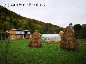 [P42] Pe Valea Doftanei » foto by crismis
 - 
<span class="allrVoted glyphicon glyphicon-heart hidden" id="av1213384"></span>
<a class="m-l-10 hidden" id="sv1213384" onclick="voting_Foto_DelVot(,1213384,4099)" role="button">șterge vot <span class="glyphicon glyphicon-remove"></span></a>
<a id="v91213384" class=" c-red"  onclick="voting_Foto_SetVot(1213384)" role="button"><span class="glyphicon glyphicon-heart-empty"></span> <b>LIKE</b> = Votează poza</a> <img class="hidden"  id="f1213384W9" src="/imagini/loader.gif" border="0" /><span class="AjErrMes hidden" id="e1213384ErM"></span>