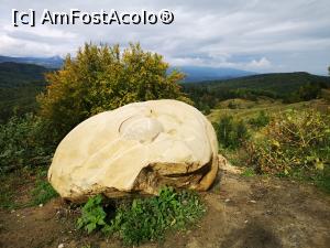 [P43] Pe Valea Doftanei » foto by crismis
 - 
<span class="allrVoted glyphicon glyphicon-heart hidden" id="av1213385"></span>
<a class="m-l-10 hidden" id="sv1213385" onclick="voting_Foto_DelVot(,1213385,4099)" role="button">șterge vot <span class="glyphicon glyphicon-remove"></span></a>
<a id="v91213385" class=" c-red"  onclick="voting_Foto_SetVot(1213385)" role="button"><span class="glyphicon glyphicon-heart-empty"></span> <b>LIKE</b> = Votează poza</a> <img class="hidden"  id="f1213385W9" src="/imagini/loader.gif" border="0" /><span class="AjErrMes hidden" id="e1213385ErM"></span>