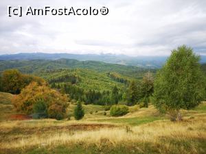 [P47] Peisaj la Crucea Domnitorului » foto by crismis
 - 
<span class="allrVoted glyphicon glyphicon-heart hidden" id="av1213389"></span>
<a class="m-l-10 hidden" id="sv1213389" onclick="voting_Foto_DelVot(,1213389,4099)" role="button">șterge vot <span class="glyphicon glyphicon-remove"></span></a>
<a id="v91213389" class=" c-red"  onclick="voting_Foto_SetVot(1213389)" role="button"><span class="glyphicon glyphicon-heart-empty"></span> <b>LIKE</b> = Votează poza</a> <img class="hidden"  id="f1213389W9" src="/imagini/loader.gif" border="0" /><span class="AjErrMes hidden" id="e1213389ErM"></span>