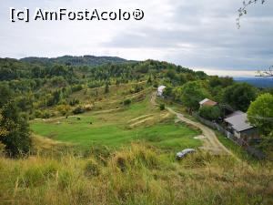 [P49] Peisaj la Crucea Domnitorului » foto by crismis
 - 
<span class="allrVoted glyphicon glyphicon-heart hidden" id="av1213391"></span>
<a class="m-l-10 hidden" id="sv1213391" onclick="voting_Foto_DelVot(,1213391,4099)" role="button">șterge vot <span class="glyphicon glyphicon-remove"></span></a>
<a id="v91213391" class=" c-red"  onclick="voting_Foto_SetVot(1213391)" role="button"><span class="glyphicon glyphicon-heart-empty"></span> <b>LIKE</b> = Votează poza</a> <img class="hidden"  id="f1213391W9" src="/imagini/loader.gif" border="0" /><span class="AjErrMes hidden" id="e1213391ErM"></span>