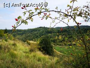 [P50] Peisaj la Crucea Domnitorului » foto by crismis
 - 
<span class="allrVoted glyphicon glyphicon-heart hidden" id="av1213392"></span>
<a class="m-l-10 hidden" id="sv1213392" onclick="voting_Foto_DelVot(,1213392,4099)" role="button">șterge vot <span class="glyphicon glyphicon-remove"></span></a>
<a id="v91213392" class=" c-red"  onclick="voting_Foto_SetVot(1213392)" role="button"><span class="glyphicon glyphicon-heart-empty"></span> <b>LIKE</b> = Votează poza</a> <img class="hidden"  id="f1213392W9" src="/imagini/loader.gif" border="0" /><span class="AjErrMes hidden" id="e1213392ErM"></span>