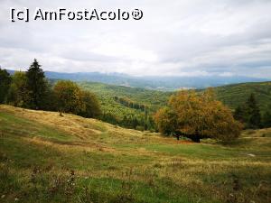 [P51] Peisaj la Crucea Domnitorului » foto by crismis
 - 
<span class="allrVoted glyphicon glyphicon-heart hidden" id="av1213393"></span>
<a class="m-l-10 hidden" id="sv1213393" onclick="voting_Foto_DelVot(,1213393,4099)" role="button">șterge vot <span class="glyphicon glyphicon-remove"></span></a>
<a id="v91213393" class=" c-red"  onclick="voting_Foto_SetVot(1213393)" role="button"><span class="glyphicon glyphicon-heart-empty"></span> <b>LIKE</b> = Votează poza</a> <img class="hidden"  id="f1213393W9" src="/imagini/loader.gif" border="0" /><span class="AjErrMes hidden" id="e1213393ErM"></span>