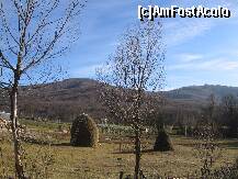[P07] Altceva... » foto by balasa violeta
 - 
<span class="allrVoted glyphicon glyphicon-heart hidden" id="av161270"></span>
<a class="m-l-10 hidden" id="sv161270" onclick="voting_Foto_DelVot(,161270,4099)" role="button">șterge vot <span class="glyphicon glyphicon-remove"></span></a>
<a id="v9161270" class=" c-red"  onclick="voting_Foto_SetVot(161270)" role="button"><span class="glyphicon glyphicon-heart-empty"></span> <b>LIKE</b> = Votează poza</a> <img class="hidden"  id="f161270W9" src="/imagini/loader.gif" border="0" /><span class="AjErrMes hidden" id="e161270ErM"></span>