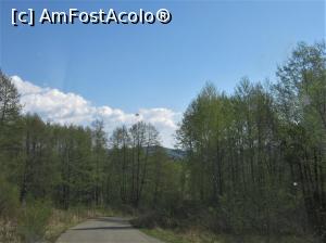 [P09] Drumul spre Buştenari prin pădure, pe asfalt bun » foto by Michi
 - 
<span class="allrVoted glyphicon glyphicon-heart hidden" id="av1295200"></span>
<a class="m-l-10 hidden" id="sv1295200" onclick="voting_Foto_DelVot(,1295200,4099)" role="button">șterge vot <span class="glyphicon glyphicon-remove"></span></a>
<a id="v91295200" class=" c-red"  onclick="voting_Foto_SetVot(1295200)" role="button"><span class="glyphicon glyphicon-heart-empty"></span> <b>LIKE</b> = Votează poza</a> <img class="hidden"  id="f1295200W9" src="/imagini/loader.gif" border="0" /><span class="AjErrMes hidden" id="e1295200ErM"></span>