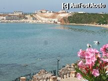 [P06] Terasa spre plaja » foto by lilacrocodila
 - 
<span class="allrVoted glyphicon glyphicon-heart hidden" id="av8847"></span>
<a class="m-l-10 hidden" id="sv8847" onclick="voting_Foto_DelVot(,8847,4114)" role="button">șterge vot <span class="glyphicon glyphicon-remove"></span></a>
<a id="v98847" class=" c-red"  onclick="voting_Foto_SetVot(8847)" role="button"><span class="glyphicon glyphicon-heart-empty"></span> <b>LIKE</b> = Votează poza</a> <img class="hidden"  id="f8847W9" src="/imagini/loader.gif" border="0" /><span class="AjErrMes hidden" id="e8847ErM"></span>