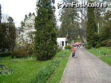 [P7x] intrarea in gradina botanica » foto by Andc
 - 
<span class="allrVoted glyphicon glyphicon-heart hidden" id="av33411"></span>
<a class="m-l-10 hidden" id="sv33411" onclick="voting_Foto_DelVot(,33411,4148)" role="button">șterge vot <span class="glyphicon glyphicon-remove"></span></a>
<a id="v933411" class=" c-red"  onclick="voting_Foto_SetVot(33411)" role="button"><span class="glyphicon glyphicon-heart-empty"></span> <b>LIKE</b> = Votează poza</a> <img class="hidden"  id="f33411W9" src="/imagini/loader.gif" border="0" /><span class="AjErrMes hidden" id="e33411ErM"></span>