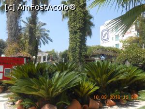 [P21] Sera Hotel, o seră cu flori și multă vegetație luxuriantă.  » foto by Rodel
 - 
<span class="allrVoted glyphicon glyphicon-heart hidden" id="av798575"></span>
<a class="m-l-10 hidden" id="sv798575" onclick="voting_Foto_DelVot(,798575,4159)" role="button">șterge vot <span class="glyphicon glyphicon-remove"></span></a>
<a id="v9798575" class=" c-red"  onclick="voting_Foto_SetVot(798575)" role="button"><span class="glyphicon glyphicon-heart-empty"></span> <b>LIKE</b> = Votează poza</a> <img class="hidden"  id="f798575W9" src="/imagini/loader.gif" border="0" /><span class="AjErrMes hidden" id="e798575ErM"></span>