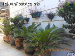 [P25] În resort » foto by Rodel
 - 
<span class="allrVoted glyphicon glyphicon-heart hidden" id="av798581"></span>
<a class="m-l-10 hidden" id="sv798581" onclick="voting_Foto_DelVot(,798581,4159)" role="button">șterge vot <span class="glyphicon glyphicon-remove"></span></a>
<a id="v9798581" class=" c-red"  onclick="voting_Foto_SetVot(798581)" role="button"><span class="glyphicon glyphicon-heart-empty"></span> <b>LIKE</b> = Votează poza</a> <img class="hidden"  id="f798581W9" src="/imagini/loader.gif" border="0" /><span class="AjErrMes hidden" id="e798581ErM"></span>