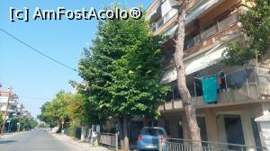 [P21] La plimbare prin Peraia » foto by Carmen Ion
 - 
<span class="allrVoted glyphicon glyphicon-heart hidden" id="av1381364"></span>
<a class="m-l-10 hidden" id="sv1381364" onclick="voting_Foto_DelVot(,1381364,4165)" role="button">șterge vot <span class="glyphicon glyphicon-remove"></span></a>
<a id="v91381364" class=" c-red"  onclick="voting_Foto_SetVot(1381364)" role="button"><span class="glyphicon glyphicon-heart-empty"></span> <b>LIKE</b> = Votează poza</a> <img class="hidden"  id="f1381364W9" src="/imagini/loader.gif" border="0" /><span class="AjErrMes hidden" id="e1381364ErM"></span>