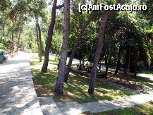 [P03] Gradina zoologica din Salonic » foto by pepsi70ro
 - 
<span class="allrVoted glyphicon glyphicon-heart hidden" id="av156434"></span>
<a class="m-l-10 hidden" id="sv156434" onclick="voting_Foto_DelVot(,156434,4165)" role="button">șterge vot <span class="glyphicon glyphicon-remove"></span></a>
<a id="v9156434" class=" c-red"  onclick="voting_Foto_SetVot(156434)" role="button"><span class="glyphicon glyphicon-heart-empty"></span> <b>LIKE</b> = Votează poza</a> <img class="hidden"  id="f156434W9" src="/imagini/loader.gif" border="0" /><span class="AjErrMes hidden" id="e156434ErM"></span>