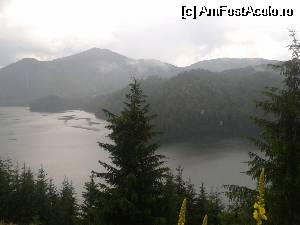 [P01] Lacul de la baraj Draganu... spre care curg lacrimi din cer...  » foto by SKC
 - 
<span class="allrVoted glyphicon glyphicon-heart hidden" id="av531027"></span>
<a class="m-l-10 hidden" id="sv531027" onclick="voting_Foto_DelVot(,531027,4186)" role="button">șterge vot <span class="glyphicon glyphicon-remove"></span></a>
<a id="v9531027" class=" c-red"  onclick="voting_Foto_SetVot(531027)" role="button"><span class="glyphicon glyphicon-heart-empty"></span> <b>LIKE</b> = Votează poza</a> <img class="hidden"  id="f531027W9" src="/imagini/loader.gif" border="0" /><span class="AjErrMes hidden" id="e531027ErM"></span>