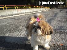 [P13] Am venit si eu la plimbare la Valea Draganului » foto by Alina Morar
 - 
<span class="allrVoted glyphicon glyphicon-heart hidden" id="av164238"></span>
<a class="m-l-10 hidden" id="sv164238" onclick="voting_Foto_DelVot(,164238,4186)" role="button">șterge vot <span class="glyphicon glyphicon-remove"></span></a>
<a id="v9164238" class=" c-red"  onclick="voting_Foto_SetVot(164238)" role="button"><span class="glyphicon glyphicon-heart-empty"></span> <b>LIKE</b> = Votează poza</a> <img class="hidden"  id="f164238W9" src="/imagini/loader.gif" border="0" /><span class="AjErrMes hidden" id="e164238ErM"></span>