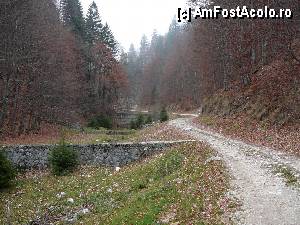 [P15] Drumul ce urcă pe Valea Seacă a Pietrelor » foto by Claudiu U.
 - 
<span class="allrVoted glyphicon glyphicon-heart hidden" id="av414625"></span>
<a class="m-l-10 hidden" id="sv414625" onclick="voting_Foto_DelVot(,414625,4190)" role="button">șterge vot <span class="glyphicon glyphicon-remove"></span></a>
<a id="v9414625" class=" c-red"  onclick="voting_Foto_SetVot(414625)" role="button"><span class="glyphicon glyphicon-heart-empty"></span> <b>LIKE</b> = Votează poza</a> <img class="hidden"  id="f414625W9" src="/imagini/loader.gif" border="0" /><span class="AjErrMes hidden" id="e414625ErM"></span>