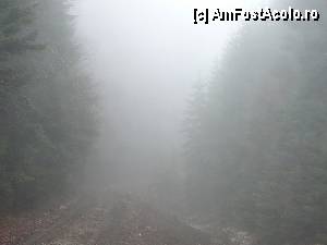 [P19] “Oare ce ne aşteaptă mai departe? ” » foto by Claudiu U.
 - 
<span class="allrVoted glyphicon glyphicon-heart hidden" id="av414630"></span>
<a class="m-l-10 hidden" id="sv414630" onclick="voting_Foto_DelVot(,414630,4190)" role="button">șterge vot <span class="glyphicon glyphicon-remove"></span></a>
<a id="v9414630" class=" c-red"  onclick="voting_Foto_SetVot(414630)" role="button"><span class="glyphicon glyphicon-heart-empty"></span> <b>LIKE</b> = Votează poza</a> <img class="hidden"  id="f414630W9" src="/imagini/loader.gif" border="0" /><span class="AjErrMes hidden" id="e414630ErM"></span>