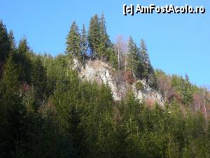 [P25] Aproape de Prăpăstiile Zărneştilor deja clima era cu totul alta » foto by Claudiu U.
 - 
<span class="allrVoted glyphicon glyphicon-heart hidden" id="av414636"></span>
<a class="m-l-10 hidden" id="sv414636" onclick="voting_Foto_DelVot(,414636,4190)" role="button">șterge vot <span class="glyphicon glyphicon-remove"></span></a>
<a id="v9414636" class=" c-red"  onclick="voting_Foto_SetVot(414636)" role="button"><span class="glyphicon glyphicon-heart-empty"></span> <b>LIKE</b> = Votează poza</a> <img class="hidden"  id="f414636W9" src="/imagini/loader.gif" border="0" /><span class="AjErrMes hidden" id="e414636ErM"></span>