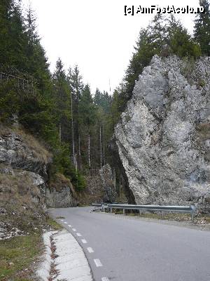 [P07] Cheia Mică a Dâmbovicioarei » foto by Claudiu U.
 - 
<span class="allrVoted glyphicon glyphicon-heart hidden" id="av414612"></span>
<a class="m-l-10 hidden" id="sv414612" onclick="voting_Foto_DelVot(,414612,4190)" role="button">șterge vot <span class="glyphicon glyphicon-remove"></span></a>
<a id="v9414612" class=" c-red"  onclick="voting_Foto_SetVot(414612)" role="button"><span class="glyphicon glyphicon-heart-empty"></span> <b>LIKE</b> = Votează poza</a> <img class="hidden"  id="f414612W9" src="/imagini/loader.gif" border="0" /><span class="AjErrMes hidden" id="e414612ErM"></span>