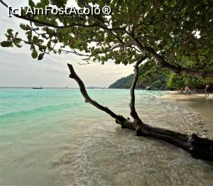 [P06] Vacanta in Phuket, Thailanda » foto by elenaadina
 - 
<span class="allrVoted glyphicon glyphicon-heart hidden" id="av1353742"></span>
<a class="m-l-10 hidden" id="sv1353742" onclick="voting_Foto_DelVot(,1353742,4203)" role="button">șterge vot <span class="glyphicon glyphicon-remove"></span></a>
<a id="v91353742" class=" c-red"  onclick="voting_Foto_SetVot(1353742)" role="button"><span class="glyphicon glyphicon-heart-empty"></span> <b>LIKE</b> = Votează poza</a> <img class="hidden"  id="f1353742W9" src="/imagini/loader.gif" border="0" /><span class="AjErrMes hidden" id="e1353742ErM"></span>