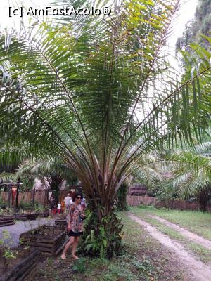 [P41]  -- <small>// FĂRĂ DESCRIERE</small> » foto by Dory29
 - 
<span class="allrVoted glyphicon glyphicon-heart hidden" id="av932224"></span>
<a class="m-l-10 hidden" id="sv932224" onclick="voting_Foto_DelVot(,932224,4203)" role="button">șterge vot <span class="glyphicon glyphicon-remove"></span></a>
<a id="v9932224" class=" c-red"  onclick="voting_Foto_SetVot(932224)" role="button"><span class="glyphicon glyphicon-heart-empty"></span> <b>LIKE</b> = Votează poza</a> <img class="hidden"  id="f932224W9" src="/imagini/loader.gif" border="0" /><span class="AjErrMes hidden" id="e932224ErM"></span>