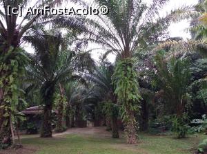 [P43]  -- <small>// FĂRĂ DESCRIERE</small> » foto by Dory29
 - 
<span class="allrVoted glyphicon glyphicon-heart hidden" id="av932226"></span>
<a class="m-l-10 hidden" id="sv932226" onclick="voting_Foto_DelVot(,932226,4203)" role="button">șterge vot <span class="glyphicon glyphicon-remove"></span></a>
<a id="v9932226" class=" c-red"  onclick="voting_Foto_SetVot(932226)" role="button"><span class="glyphicon glyphicon-heart-empty"></span> <b>LIKE</b> = Votează poza</a> <img class="hidden"  id="f932226W9" src="/imagini/loader.gif" border="0" /><span class="AjErrMes hidden" id="e932226ErM"></span>