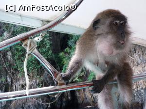 [P53]  -- <small>// FĂRĂ DESCRIERE</small> » foto by Dory29
 - 
<span class="allrVoted glyphicon glyphicon-heart hidden" id="av932236"></span>
<a class="m-l-10 hidden" id="sv932236" onclick="voting_Foto_DelVot(,932236,4203)" role="button">șterge vot <span class="glyphicon glyphicon-remove"></span></a>
<a id="v9932236" class=" c-red"  onclick="voting_Foto_SetVot(932236)" role="button"><span class="glyphicon glyphicon-heart-empty"></span> <b>LIKE</b> = Votează poza</a> <img class="hidden"  id="f932236W9" src="/imagini/loader.gif" border="0" /><span class="AjErrMes hidden" id="e932236ErM"></span>