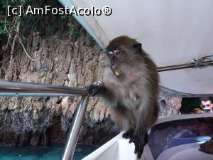 [P54]  -- <small>// FĂRĂ DESCRIERE</small> » foto by Dory29
 - 
<span class="allrVoted glyphicon glyphicon-heart hidden" id="av932237"></span>
<a class="m-l-10 hidden" id="sv932237" onclick="voting_Foto_DelVot(,932237,4203)" role="button">șterge vot <span class="glyphicon glyphicon-remove"></span></a>
<a id="v9932237" class=" c-red"  onclick="voting_Foto_SetVot(932237)" role="button"><span class="glyphicon glyphicon-heart-empty"></span> <b>LIKE</b> = Votează poza</a> <img class="hidden"  id="f932237W9" src="/imagini/loader.gif" border="0" /><span class="AjErrMes hidden" id="e932237ErM"></span>