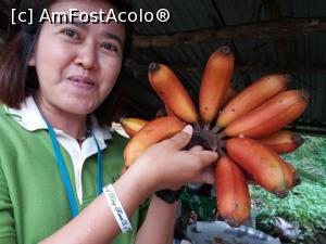 [P57]  -- <small>// FĂRĂ DESCRIERE</small> » foto by Dory29
 - 
<span class="allrVoted glyphicon glyphicon-heart hidden" id="av932240"></span>
<a class="m-l-10 hidden" id="sv932240" onclick="voting_Foto_DelVot(,932240,4203)" role="button">șterge vot <span class="glyphicon glyphicon-remove"></span></a>
<a id="v9932240" class=" c-red"  onclick="voting_Foto_SetVot(932240)" role="button"><span class="glyphicon glyphicon-heart-empty"></span> <b>LIKE</b> = Votează poza</a> <img class="hidden"  id="f932240W9" src="/imagini/loader.gif" border="0" /><span class="AjErrMes hidden" id="e932240ErM"></span>