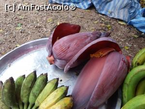 [P58]  -- <small>// FĂRĂ DESCRIERE</small> » foto by Dory29
 - 
<span class="allrVoted glyphicon glyphicon-heart hidden" id="av932241"></span>
<a class="m-l-10 hidden" id="sv932241" onclick="voting_Foto_DelVot(,932241,4203)" role="button">șterge vot <span class="glyphicon glyphicon-remove"></span></a>
<a id="v9932241" class=" c-red"  onclick="voting_Foto_SetVot(932241)" role="button"><span class="glyphicon glyphicon-heart-empty"></span> <b>LIKE</b> = Votează poza</a> <img class="hidden"  id="f932241W9" src="/imagini/loader.gif" border="0" /><span class="AjErrMes hidden" id="e932241ErM"></span>