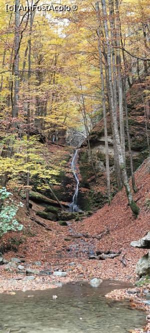 [P10] Cascada Vâlsanului. » foto by tata123 🔱
 - 
<span class="allrVoted glyphicon glyphicon-heart hidden" id="av1504335"></span>
<a class="m-l-10 hidden" id="sv1504335" onclick="voting_Foto_DelVot(,1504335,4208)" role="button">șterge vot <span class="glyphicon glyphicon-remove"></span></a>
<a id="v91504335" class=" c-red"  onclick="voting_Foto_SetVot(1504335)" role="button"><span class="glyphicon glyphicon-heart-empty"></span> <b>LIKE</b> = Votează poza</a> <img class="hidden"  id="f1504335W9" src="/imagini/loader.gif" border="0" /><span class="AjErrMes hidden" id="e1504335ErM"></span>