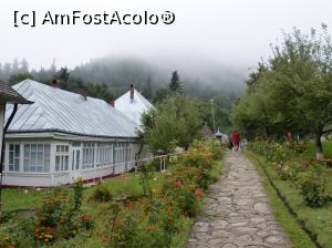 [P06] Chiliile albe ale măicuțelor » foto by fredutza
 - 
<span class="allrVoted glyphicon glyphicon-heart hidden" id="av991348"></span>
<a class="m-l-10 hidden" id="sv991348" onclick="voting_Foto_DelVot(,991348,4213)" role="button">șterge vot <span class="glyphicon glyphicon-remove"></span></a>
<a id="v9991348" class=" c-red"  onclick="voting_Foto_SetVot(991348)" role="button"><span class="glyphicon glyphicon-heart-empty"></span> <b>LIKE</b> = Votează poza</a> <img class="hidden"  id="f991348W9" src="/imagini/loader.gif" border="0" /><span class="AjErrMes hidden" id="e991348ErM"></span>
