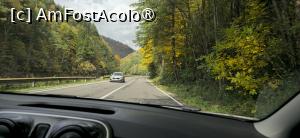 [P10] 10. În drum spre barajul Vidraru. » foto by msnd
 - 
<span class="allrVoted glyphicon glyphicon-heart hidden" id="av1504608"></span>
<a class="m-l-10 hidden" id="sv1504608" onclick="voting_Foto_DelVot(,1504608,4219)" role="button">șterge vot <span class="glyphicon glyphicon-remove"></span></a>
<a id="v91504608" class=" c-red"  onclick="voting_Foto_SetVot(1504608)" role="button"><span class="glyphicon glyphicon-heart-empty"></span> <b>LIKE</b> = Votează poza</a> <img class="hidden"  id="f1504608W9" src="/imagini/loader.gif" border="0" /><span class="AjErrMes hidden" id="e1504608ErM"></span>