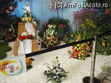 [P07] Poze Simfonie 2009 Pitesti-Casa Cartii » foto by cdg_003
 - 
<span class="allrVoted glyphicon glyphicon-heart hidden" id="av55706"></span>
<a class="m-l-10 hidden" id="sv55706" onclick="voting_Foto_DelVot(,55706,4219)" role="button">șterge vot <span class="glyphicon glyphicon-remove"></span></a>
<a id="v955706" class=" c-red"  onclick="voting_Foto_SetVot(55706)" role="button"><span class="glyphicon glyphicon-heart-empty"></span> <b>LIKE</b> = Votează poza</a> <img class="hidden"  id="f55706W9" src="/imagini/loader.gif" border="0" /><span class="AjErrMes hidden" id="e55706ErM"></span>