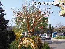 [P82] Poze Simfonie 2009 Pitesti-Casa Cartii afara » foto by cdg_003
 - 
<span class="allrVoted glyphicon glyphicon-heart hidden" id="av55781"></span>
<a class="m-l-10 hidden" id="sv55781" onclick="voting_Foto_DelVot(,55781,4219)" role="button">șterge vot <span class="glyphicon glyphicon-remove"></span></a>
<a id="v955781" class=" c-red"  onclick="voting_Foto_SetVot(55781)" role="button"><span class="glyphicon glyphicon-heart-empty"></span> <b>LIKE</b> = Votează poza</a> <img class="hidden"  id="f55781W9" src="/imagini/loader.gif" border="0" /><span class="AjErrMes hidden" id="e55781ErM"></span>
