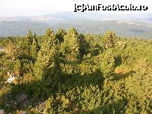 [P11]  -- <small>// FĂRĂ DESCRIERE</small> » foto by diana-s
 - 
<span class="allrVoted glyphicon glyphicon-heart hidden" id="av256411"></span>
<a class="m-l-10 hidden" id="sv256411" onclick="voting_Foto_DelVot(,256411,4254)" role="button">șterge vot <span class="glyphicon glyphicon-remove"></span></a>
<a id="v9256411" class=" c-red"  onclick="voting_Foto_SetVot(256411)" role="button"><span class="glyphicon glyphicon-heart-empty"></span> <b>LIKE</b> = Votează poza</a> <img class="hidden"  id="f256411W9" src="/imagini/loader.gif" border="0" /><span class="AjErrMes hidden" id="e256411ErM"></span>