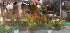 [P46] Restaurantul Happy Duck  din Borovets. » foto by Aurici
 - 
<span class="allrVoted glyphicon glyphicon-heart hidden" id="av1213726"></span>
<a class="m-l-10 hidden" id="sv1213726" onclick="voting_Foto_DelVot(,1213726,4254)" role="button">șterge vot <span class="glyphicon glyphicon-remove"></span></a>
<a id="v91213726" class=" c-red"  onclick="voting_Foto_SetVot(1213726)" role="button"><span class="glyphicon glyphicon-heart-empty"></span> <b>LIKE</b> = Votează poza</a> <img class="hidden"  id="f1213726W9" src="/imagini/loader.gif" border="0" /><span class="AjErrMes hidden" id="e1213726ErM"></span>