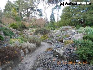 [P15] Dublin - o mica zona din Gradina Botanica » foto by Diaura*
 - 
<span class="allrVoted glyphicon glyphicon-heart hidden" id="av393285"></span>
<a class="m-l-10 hidden" id="sv393285" onclick="voting_Foto_DelVot(,393285,4261)" role="button">șterge vot <span class="glyphicon glyphicon-remove"></span></a>
<a id="v9393285" class=" c-red"  onclick="voting_Foto_SetVot(393285)" role="button"><span class="glyphicon glyphicon-heart-empty"></span> <b>LIKE</b> = Votează poza</a> <img class="hidden"  id="f393285W9" src="/imagini/loader.gif" border="0" /><span class="AjErrMes hidden" id="e393285ErM"></span>