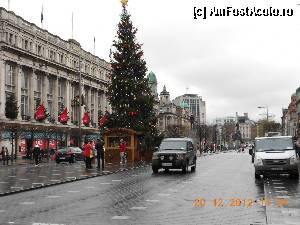 [P07] Dublin - O'Connell str. inainte de Craciun.  » foto by Diaura*
 - 
<span class="allrVoted glyphicon glyphicon-heart hidden" id="av393277"></span>
<a class="m-l-10 hidden" id="sv393277" onclick="voting_Foto_DelVot(,393277,4261)" role="button">șterge vot <span class="glyphicon glyphicon-remove"></span></a>
<a id="v9393277" class=" c-red"  onclick="voting_Foto_SetVot(393277)" role="button"><span class="glyphicon glyphicon-heart-empty"></span> <b>LIKE</b> = Votează poza</a> <img class="hidden"  id="f393277W9" src="/imagini/loader.gif" border="0" /><span class="AjErrMes hidden" id="e393277ErM"></span>