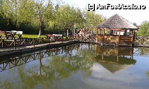 [P06]  -- <small>// FĂRĂ DESCRIERE</small> » foto by Croco
 - 
<span class="allrVoted glyphicon glyphicon-heart hidden" id="av507267"></span>
<a class="m-l-10 hidden" id="sv507267" onclick="voting_Foto_DelVot(,507267,4273)" role="button">șterge vot <span class="glyphicon glyphicon-remove"></span></a>
<a id="v9507267" class=" c-red"  onclick="voting_Foto_SetVot(507267)" role="button"><span class="glyphicon glyphicon-heart-empty"></span> <b>LIKE</b> = Votează poza</a> <img class="hidden"  id="f507267W9" src="/imagini/loader.gif" border="0" /><span class="AjErrMes hidden" id="e507267ErM"></span>