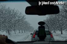 [P02]  -- <small>// FĂRĂ DESCRIERE</small> » foto by otos
 - 
<span class="allrVoted glyphicon glyphicon-heart hidden" id="av288507"></span>
<a class="m-l-10 hidden" id="sv288507" onclick="voting_Foto_DelVot(,288507,4279)" role="button">șterge vot <span class="glyphicon glyphicon-remove"></span></a>
<a id="v9288507" class=" c-red"  onclick="voting_Foto_SetVot(288507)" role="button"><span class="glyphicon glyphicon-heart-empty"></span> <b>LIKE</b> = Votează poza</a> <img class="hidden"  id="f288507W9" src="/imagini/loader.gif" border="0" /><span class="AjErrMes hidden" id="e288507ErM"></span>