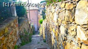 [P21] Riomaggiore -<i> Scalinata Costa del Fuso</i> » foto by k-lator
 - 
<span class="allrVoted glyphicon glyphicon-heart hidden" id="av1398279"></span>
<a class="m-l-10 hidden" id="sv1398279" onclick="voting_Foto_DelVot(,1398279,4285)" role="button">șterge vot <span class="glyphicon glyphicon-remove"></span></a>
<a id="v91398279" class=" c-red"  onclick="voting_Foto_SetVot(1398279)" role="button"><span class="glyphicon glyphicon-heart-empty"></span> <b>LIKE</b> = Votează poza</a> <img class="hidden"  id="f1398279W9" src="/imagini/loader.gif" border="0" /><span class="AjErrMes hidden" id="e1398279ErM"></span>
