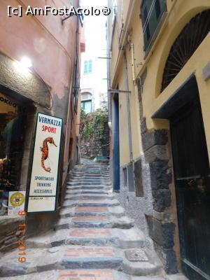 [P34] Pe străduţele din Vernazza » foto by irinad
 - 
<span class="allrVoted glyphicon glyphicon-heart hidden" id="av1139808"></span>
<a class="m-l-10 hidden" id="sv1139808" onclick="voting_Foto_DelVot(,1139808,4285)" role="button">șterge vot <span class="glyphicon glyphicon-remove"></span></a>
<a id="v91139808" class=" c-red"  onclick="voting_Foto_SetVot(1139808)" role="button"><span class="glyphicon glyphicon-heart-empty"></span> <b>LIKE</b> = Votează poza</a> <img class="hidden"  id="f1139808W9" src="/imagini/loader.gif" border="0" /><span class="AjErrMes hidden" id="e1139808ErM"></span>