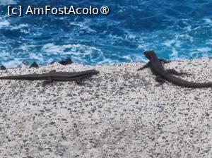 [P28]  -- <small>// FĂRĂ DESCRIERE</small> » foto by lottee7
 - 
<span class="allrVoted glyphicon glyphicon-heart hidden" id="av1397395"></span>
<a class="m-l-10 hidden" id="sv1397395" onclick="voting_Foto_DelVot(,1397395,4289)" role="button">șterge vot <span class="glyphicon glyphicon-remove"></span></a>
<a id="v91397395" class=" c-red"  onclick="voting_Foto_SetVot(1397395)" role="button"><span class="glyphicon glyphicon-heart-empty"></span> <b>LIKE</b> = Votează poza</a> <img class="hidden"  id="f1397395W9" src="/imagini/loader.gif" border="0" /><span class="AjErrMes hidden" id="e1397395ErM"></span>