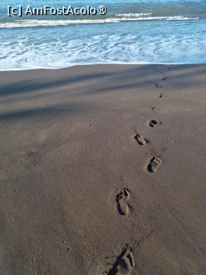 [P04] Plaja hotelului Orca Praia » foto by lottee7
 - 
<span class="allrVoted glyphicon glyphicon-heart hidden" id="av1397371"></span>
<a class="m-l-10 hidden" id="sv1397371" onclick="voting_Foto_DelVot(,1397371,4289)" role="button">șterge vot <span class="glyphicon glyphicon-remove"></span></a>
<a id="v91397371" class=" c-red"  onclick="voting_Foto_SetVot(1397371)" role="button"><span class="glyphicon glyphicon-heart-empty"></span> <b>LIKE</b> = Votează poza</a> <img class="hidden"  id="f1397371W9" src="/imagini/loader.gif" border="0" /><span class="AjErrMes hidden" id="e1397371ErM"></span>