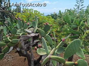 [P05] In Gradina Botanica » foto by lottee7
 - 
<span class="allrVoted glyphicon glyphicon-heart hidden" id="av1397372"></span>
<a class="m-l-10 hidden" id="sv1397372" onclick="voting_Foto_DelVot(,1397372,4289)" role="button">șterge vot <span class="glyphicon glyphicon-remove"></span></a>
<a id="v91397372" class=" c-red"  onclick="voting_Foto_SetVot(1397372)" role="button"><span class="glyphicon glyphicon-heart-empty"></span> <b>LIKE</b> = Votează poza</a> <img class="hidden"  id="f1397372W9" src="/imagini/loader.gif" border="0" /><span class="AjErrMes hidden" id="e1397372ErM"></span>